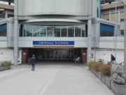 Trento, turista francese aggredito da un orso