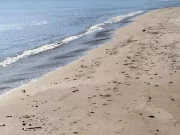 Viareggio, giovane muore annegato in mare