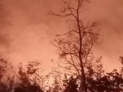 Bolivia, bruciati in quattro giorni 892.291 ettari di bosco