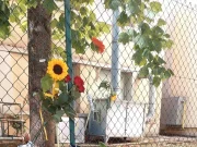 Omicidio Gobbato, convalidato l’arresto del suo assassino