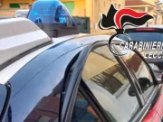 Lecce, padre e figlio azzannati da sei cani randagi