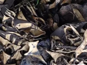 Traffico di rifiuti tra Campania e Puglia, arrestati vari imprenditori