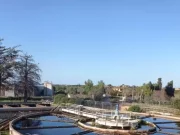 Allarme selmonella in 15 comuni della provincia di Trapani