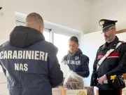 Palermo, sequestrari 4220 confezioni di panettoni scaduti