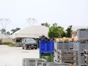 Morte Singh, giudizio immediato per l’imprenditore Lovato