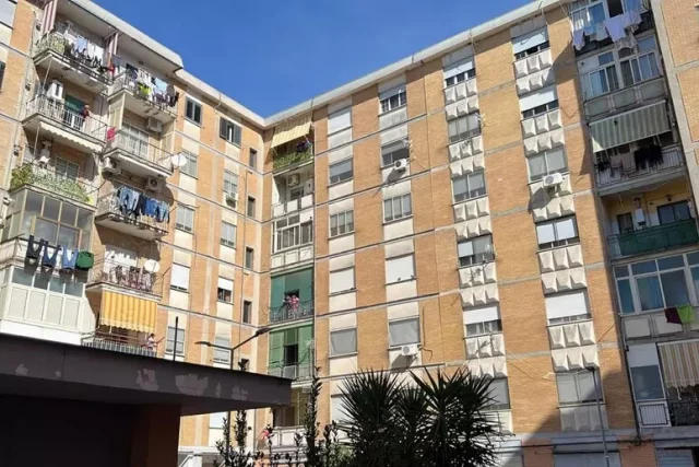 Foto Acerra