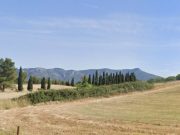 Iglesias, 74enne muore travolto dall’albero che stava sradicando