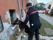 Roma, sei arresti per droga