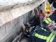 Asciano, crolla la copertura parziale di un capannone: muoiono 30 pecore