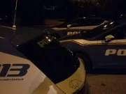 Cagliari, donna aggredita dai suoi 13 pitbull