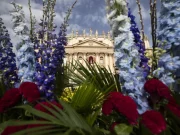 San Pietro, dolore e incredulità tra i fedeli