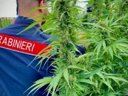 Cagliari, due arresti per traffico di droga con la Lombardia