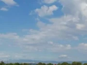 Casalattico, 33 cavalli uccisi dai fulmini di montagna