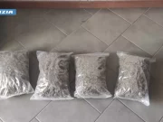 Arrestato 24enne bulgaro sull’A2 perchè trovato in possesso di due chili di cannabis