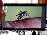 West Nile, prima vittima in Veneto