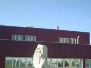 West Nile, nuovo caso in Sardegna