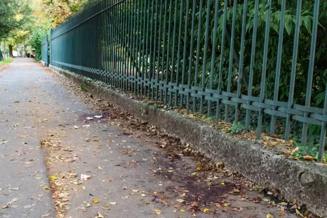 Foto Milano