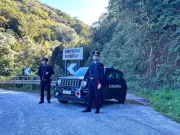 San Pietro di Caridà, tre persone arrestate per una piantagione di canapa indiana