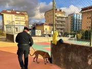 Catanzaro, scoperti 30 grammi di hashish in un parco tramite un cane antidroga