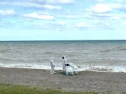 Cariati, trovato il cadavere di un uomo sulla spiaggia