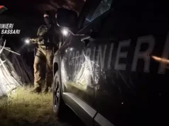 Olbia, emesse 21 misure cautelari per droga