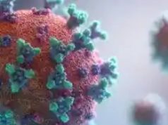 Long Covid e rischio Alzheimer: il ruolo chiave del plesso coroideo I danni al cervello del Long Covid hanno effetti simili all'Alzheimer