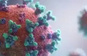 Long Covid e rischio Alzheimer: il ruolo chiave del plesso coroideo I danni al cervello del Long Covid hanno effetti simili all'Alzheimer