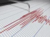 Terremoto ai Campi Flegrei, nuova scossa avvertita a Pozzuoli: paura tra i residenti sismografo terremoto ai Campi Flegrei