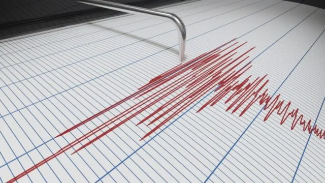 sismografo terremoto ai Campi Flegrei