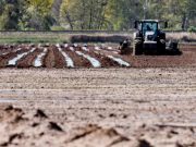 Operaio agricolo muore schiacciato dal trattore a Gavardo: tragedia nei campi del Bresciano Gavardo, muore operaio agricolo