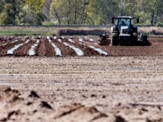 Operaio agricolo muore schiacciato dal trattore a Gavardo: tragedia nei campi del Bresciano Gavardo, muore operaio agricolo