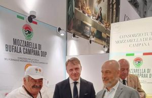 Mozzarella di Bufala Campana DOP protagonista a New York: show dal vivo al Summer Fancy Food 2026 Summer Fancy Food, protagonista la Mozzarella di bufala campana
