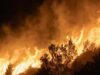 Incendio in un orfanotrofio ad Algeri: almeno 11 morti e 19 feriti Algeri, incendio in un orfanotrofio: almeno 11 morti