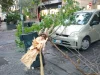 Maltempo Napoli, alberi caduti e strade allagate: prorogata l’allerta meteo fino a mezzanotte di domani Albero caduto su un'auto in via Luca Giordano al Vomero durante il maltempo