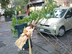 Maltempo Napoli, alberi caduti e strade allagate: prorogata l’allerta meteo fino a mezzanotte di domani Albero caduto su un'auto in via Luca Giordano al Vomero durante il maltempo
