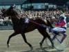 Varenne è morto a 31 anni: addio al Capitano del trotto Muore a 31 anni il cavallo più vincente nella storia del trotto