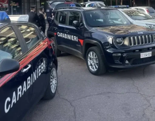 Blitz antidroga a Crema, quattro arresti: sequestrati oltre 16 chili di droga Quattro arresti per droga tra Cremona e Bergamo