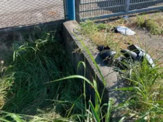 Perde il controllo della moto e si schianta contro un muro: ragazzo di 18 anni muore sul colpo a Reggio Emilia Incidente Reggio Emilia, moto del 18enne contro il muro a Masone