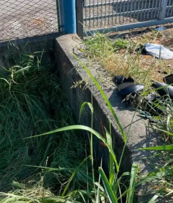 Perde il controllo della moto e si schianta contro un muro: ragazzo di 18 anni muore sul colpo a Reggio Emilia Incidente Reggio Emilia, moto del 18enne contro il muro a Masone