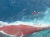 Traghetto capovolto nel Mare di Giava: 129 dispersi, continuano le ricerche Mar di Giava, traghetto si ribalta: decine di dispersi