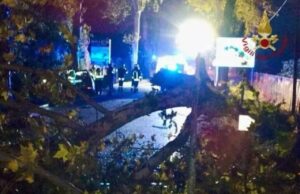 Jesolo, militare di 46 anni muore travolto da un albero mentre era in auto Per il maltempo crolla un albero su un'auto, morto militare 46enne