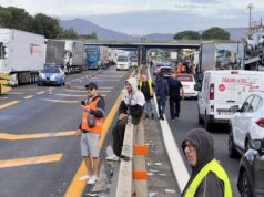Caro gasolio, il Governo stanzia 175 milioni per autotrasporto, agricoltura e pesca: proteste a Napoli Caro gasolio, il governo vara le misure di sostegno