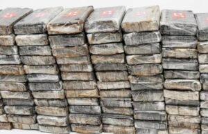 Genova, sequestrati 128 chili di cocaina nel porto di Pra’: quattro arresti Genova, sequestrati 128kg di cocaina: quattro arresti